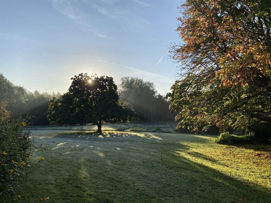 Portulla, 2 Finnebrogue Road