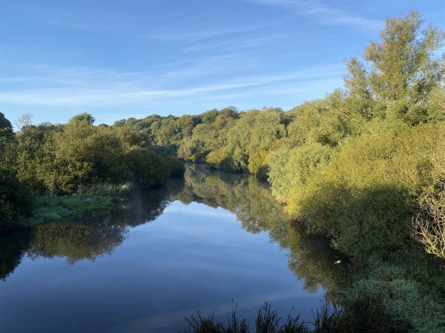 Portulla, 2 Finnebrogue Road