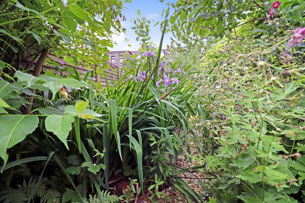 63 Main Street 63 Main Street