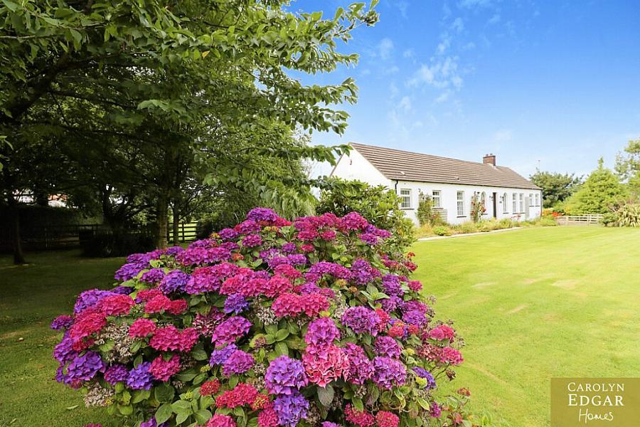 61 Ballyeasborough Road