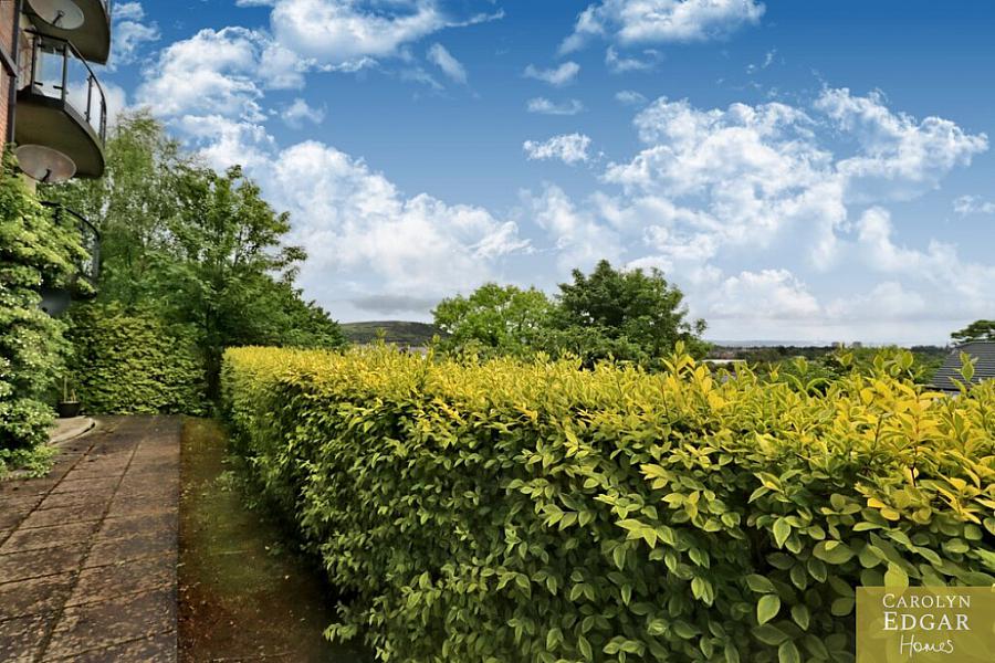 Apartment 2 , 1 Northview