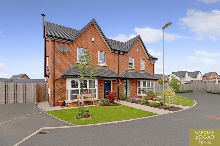 31 Millmount Village Green