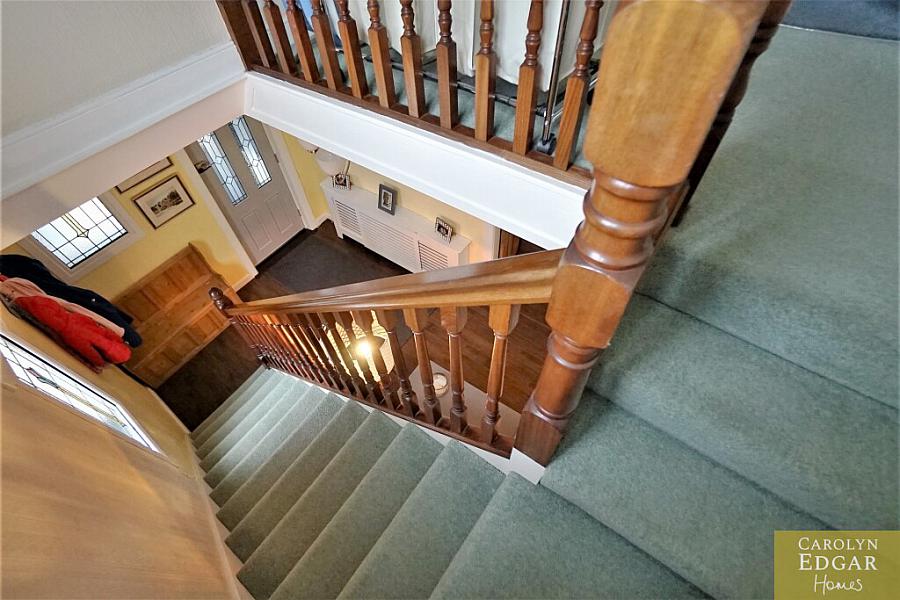 37 Rosetta Road
