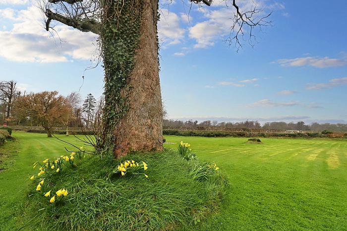 4 Deer Park Road 4 Deer Park Road