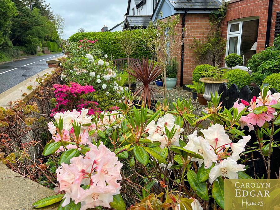 77 Craigdarragh Road