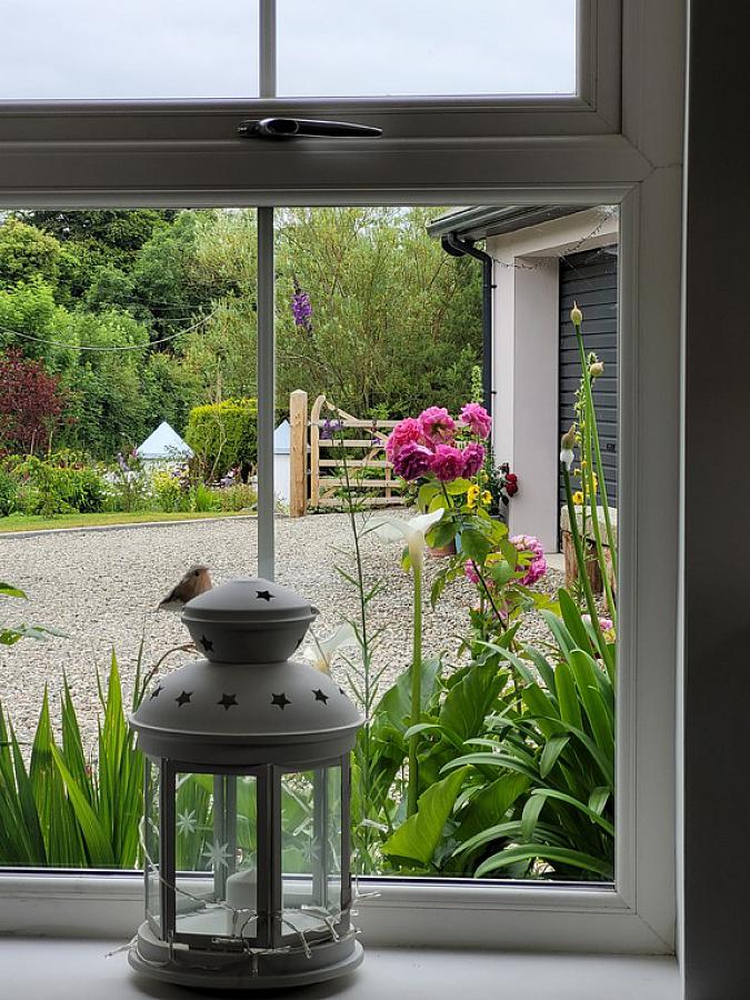 Bluebell Cottage, 58d Drumcullan Road