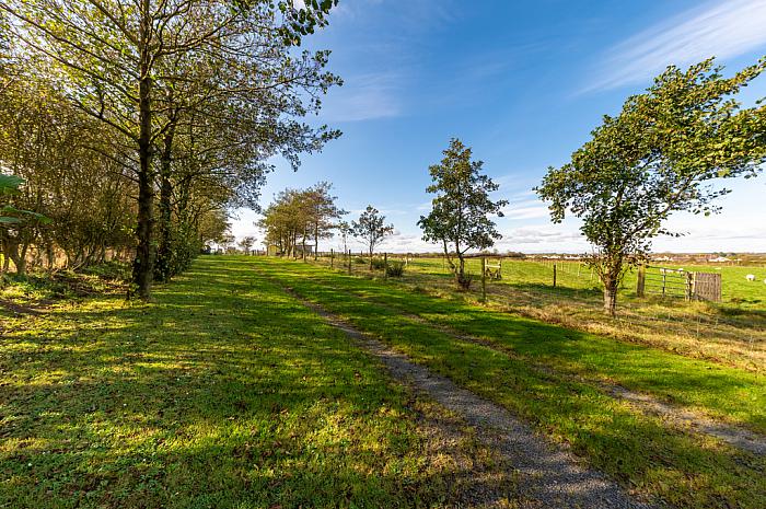 The Braidlands 15A Moat Road