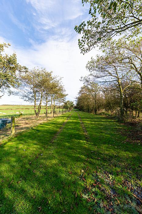 The Braidlands 15A Moat Road