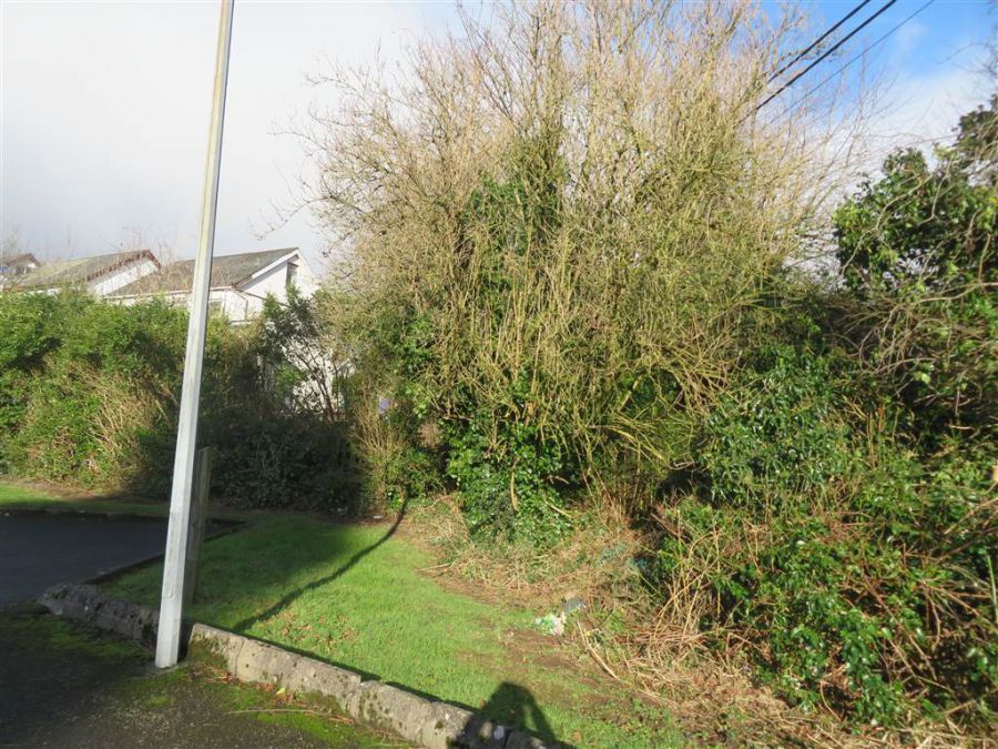28 Sunnymede Avenue