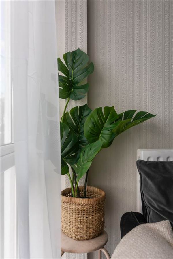 204E Upper Lisburn Road