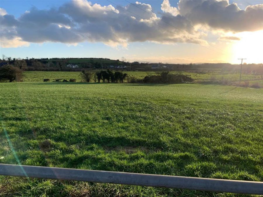 FOR SALE 8.6 ACRES OF GOOD AGRICULTURAL LAND, Near 31 Drennan Road, Lisburn, BT27 6UT