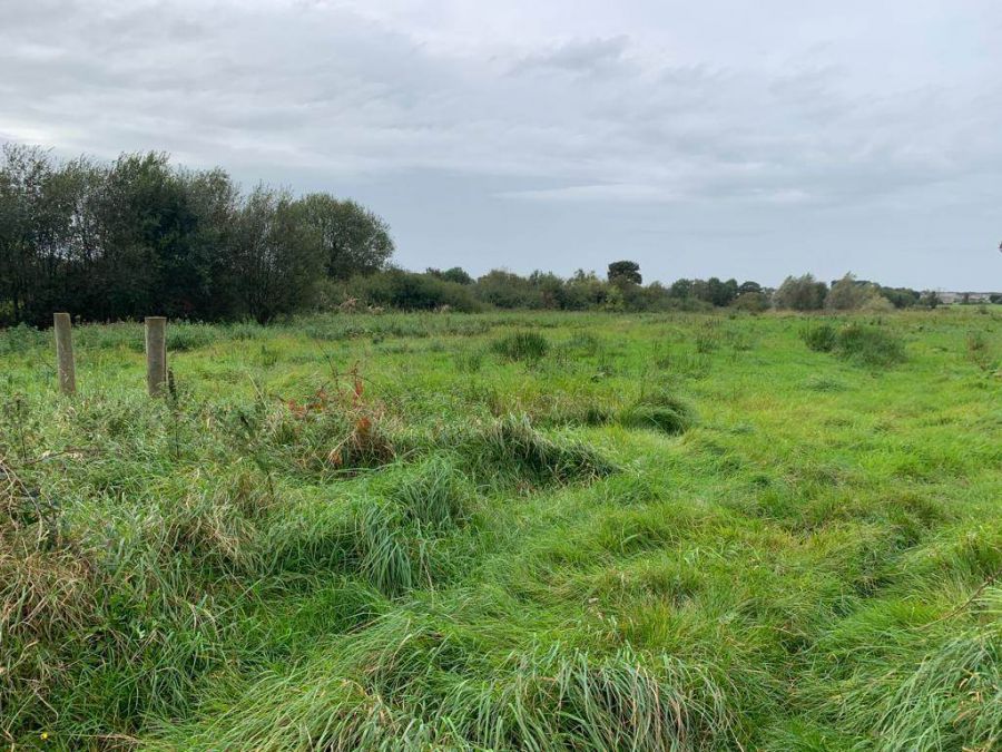 For Sale - As A Whole Or In 2 Lots Building Site And Lands Totalling Approximately 17.0 Acres