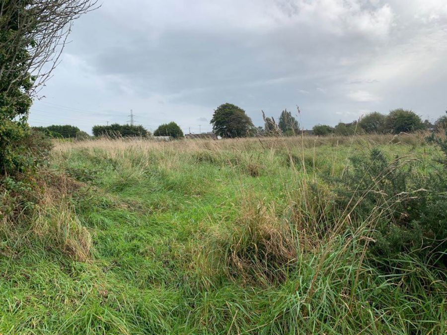 For Sale - As A Whole Or In 2 Lots Building Site And Lands Totalling Approximately 17.0 Acres