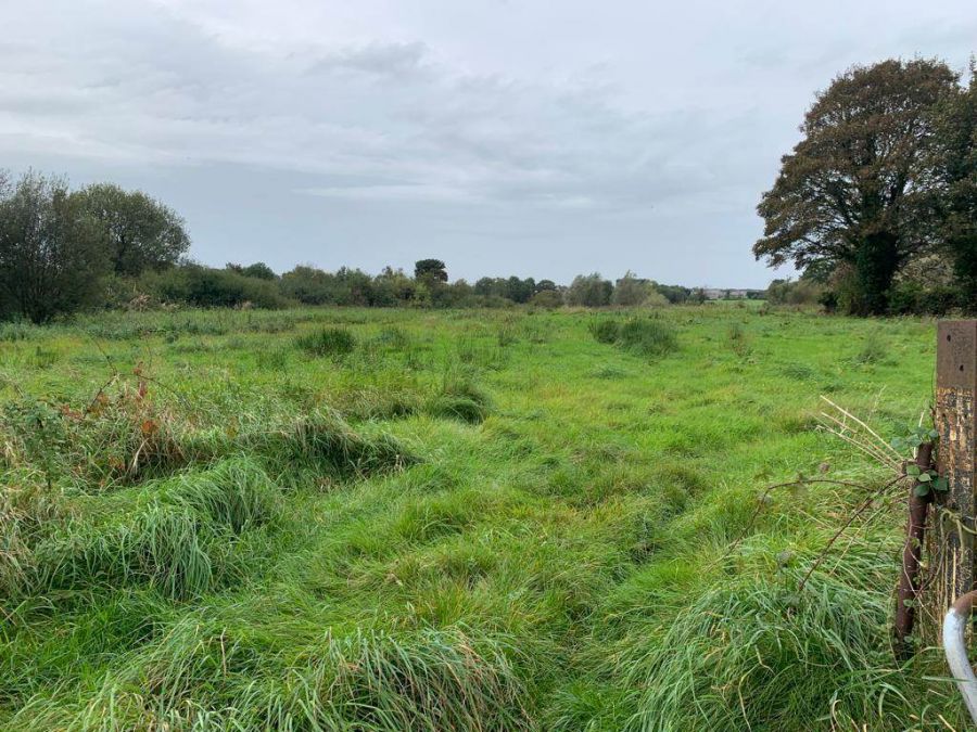 For Sale - As A Whole Or In 2 Lots Building Site And Lands Totalling Approximately 17.0 Acres