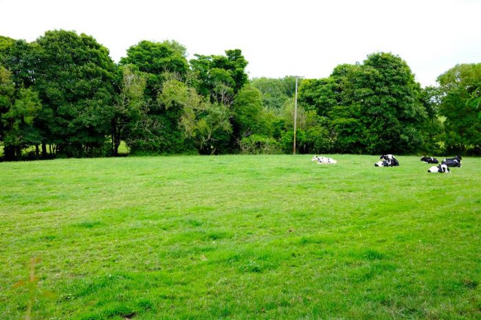 Approximately 21 Acres Of Land, adjoing 27 lambeg road, lisburn, BT27 4QB