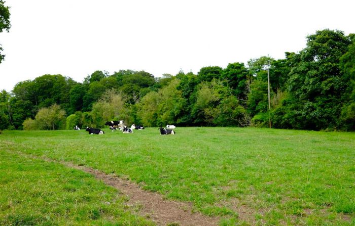 Approximately 21 Acres Of Land