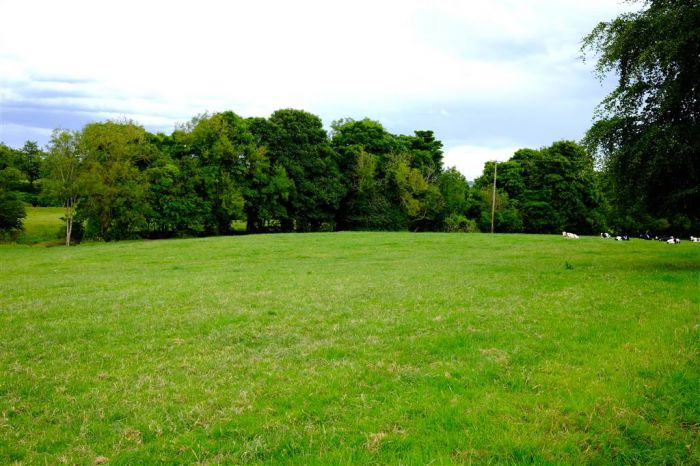 Approximately 21 Acres Of Land