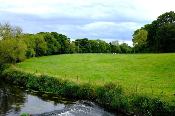 Approximately 21 Acres Of Land