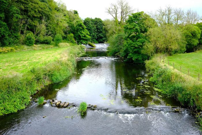 Approximately 21 Acres Of Land