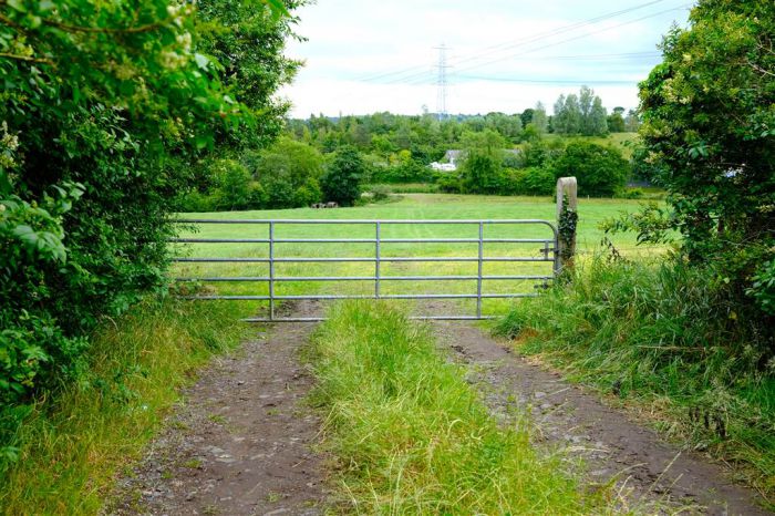 Approximately 21 Acres Of Land