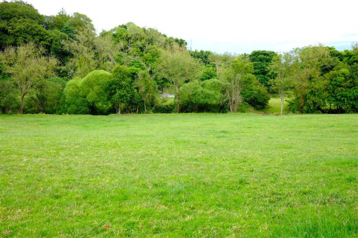 Approximately 21 Acres Of Land