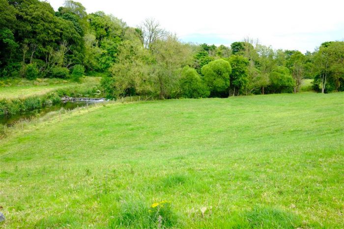 Approximately 21 Acres Of Land