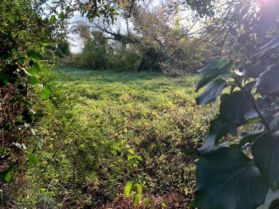 Detached House Needing Renovation Along With Two Adjoining Building Sites With Detailed Planning Per