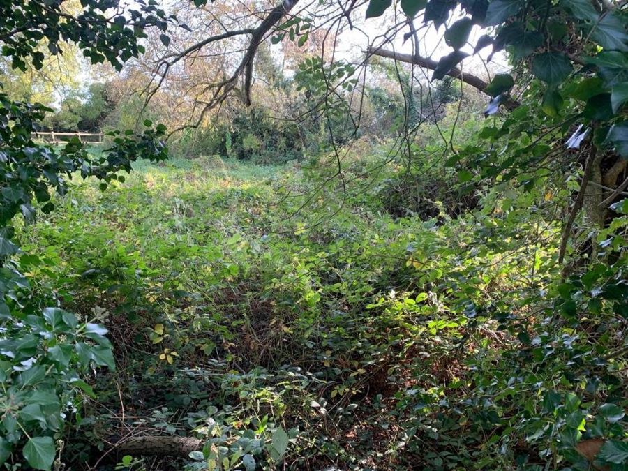 Detached House Needing Renovation Along With Two Adjoining Building Sites With Detailed Planning Per