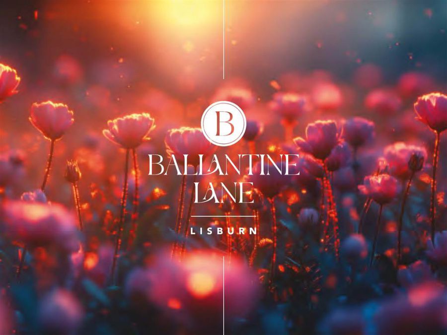 22B Ballantine Lane 22B Ballantine Lane