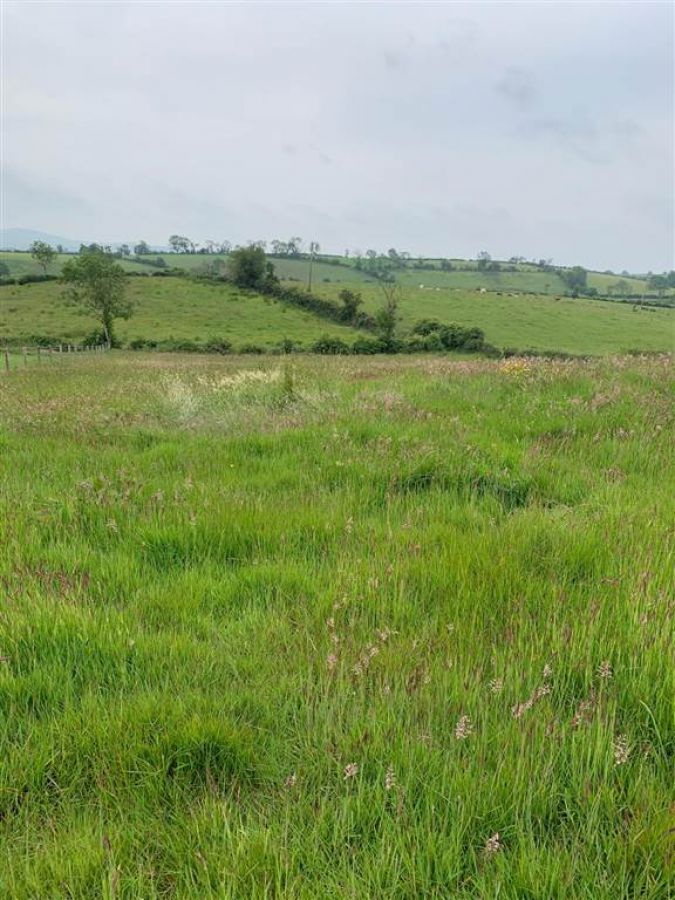 10.67 Acres Of Agricultural Land