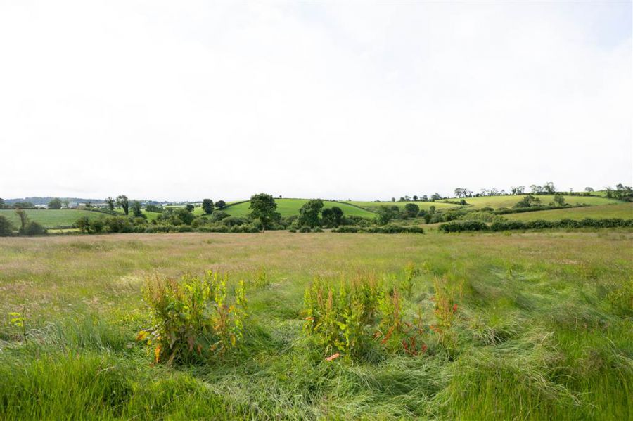10.67 Acres Of Agricultural Land