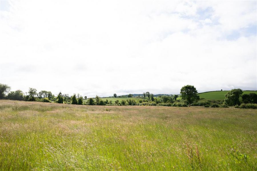 10.67 Acres Of Agricultural Land