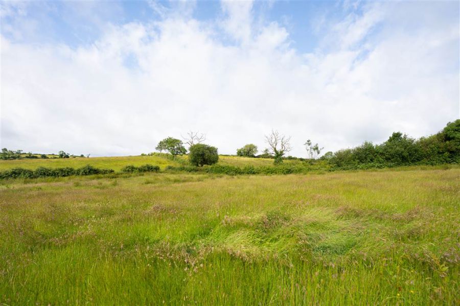 10.67 Acres Of Agricultural Land
