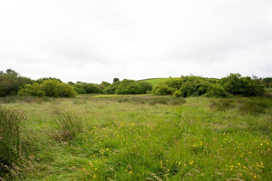 10.67 Acres Of Agricultural Land
