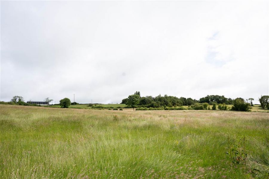 10.67 Acres Of Agricultural Land