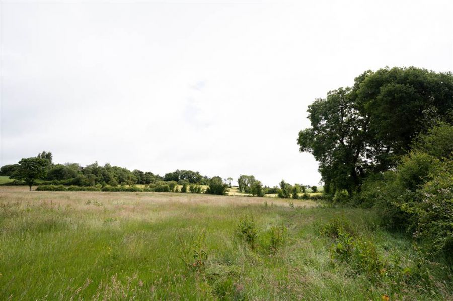 10.67 Acres Of Agricultural Land