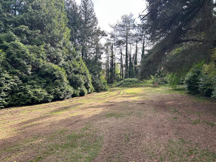 The Pines, 76 Glenavy Road