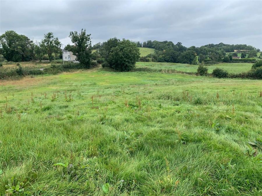 Approx 24.5 Acres of Agricultural Land Adjacent to 229 Ballynahinch Road