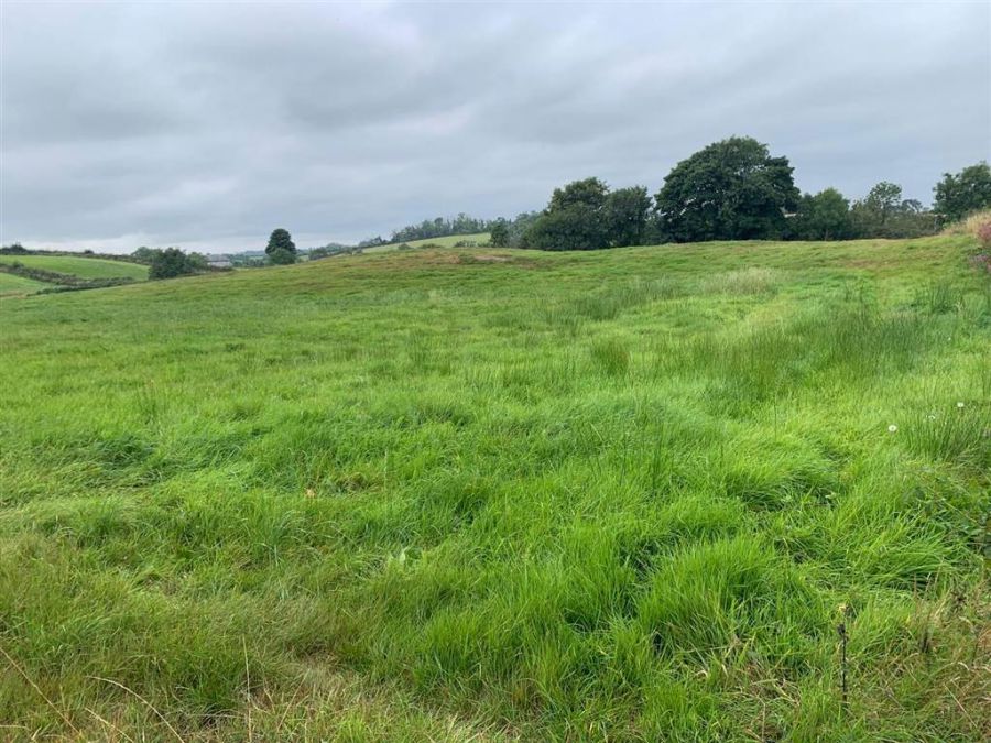 Approx 24.5 Acres Of Agricultural Land Adjacent To 229 Ballynahinch Road