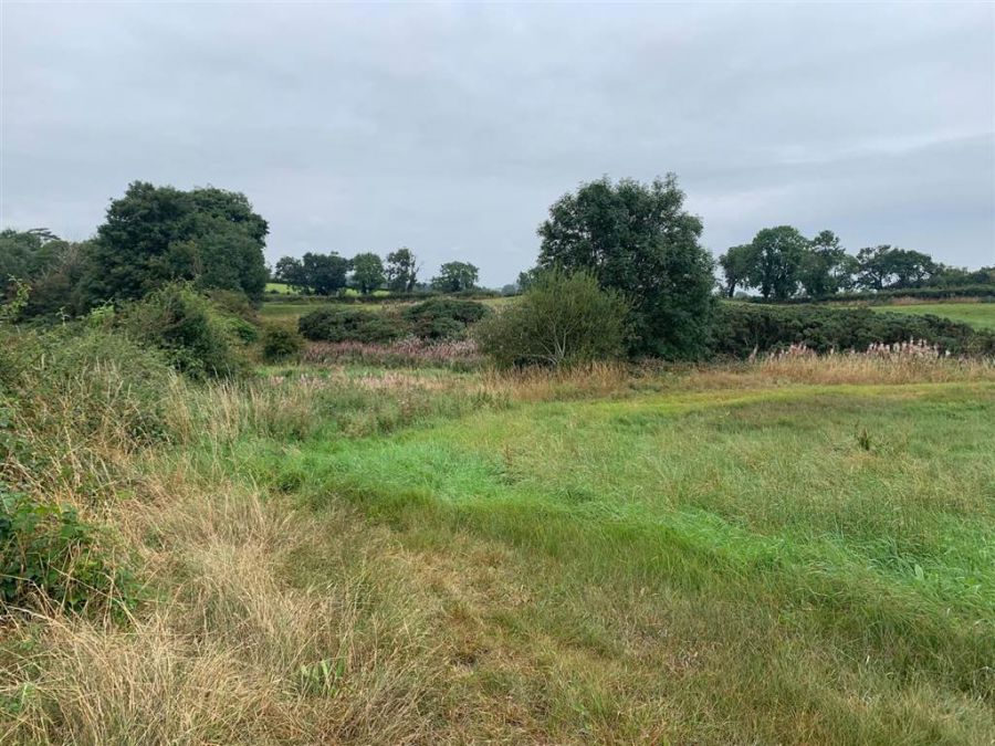 Approx 24.5 Acres Of Agricultural Land Adjacent To 229 Ballynahinch Road