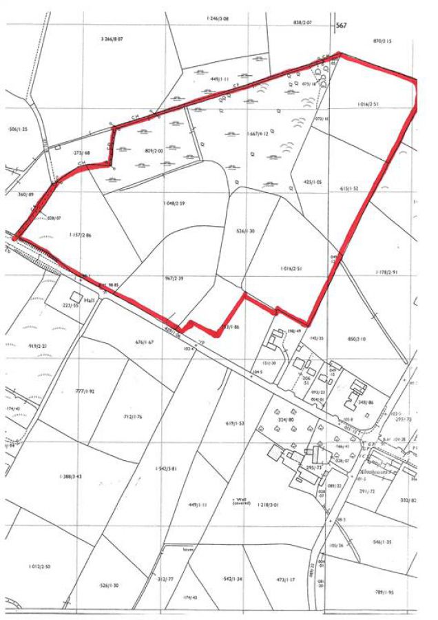 Approx 24.5 Acres Of Agricultural Land Adjacent To 229 Ballynahinch Road