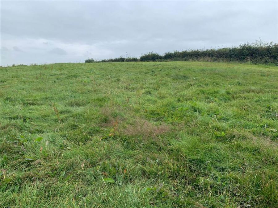 Approx 24.5 Acres Of Agricultural Land Adjacent To 229 Ballynahinch Road