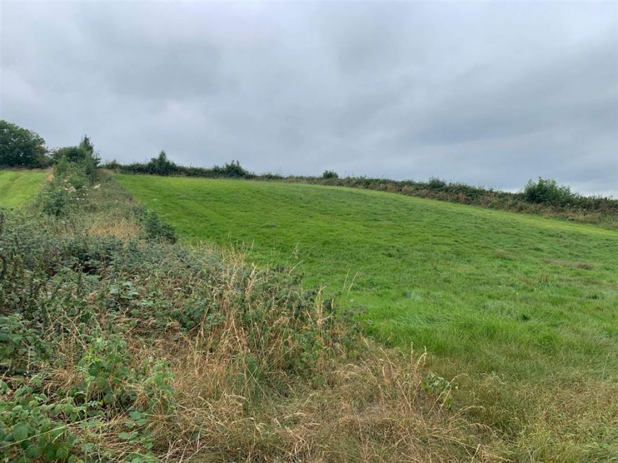 Approx 24.5 Acres Of Agricultural Land Adjacent To 229 Ballynahinch Road