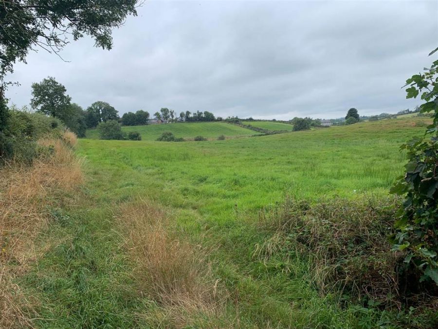 Approx 24.5 Acres Of Agricultural Land Adjacent To 229 Ballynahinch Road