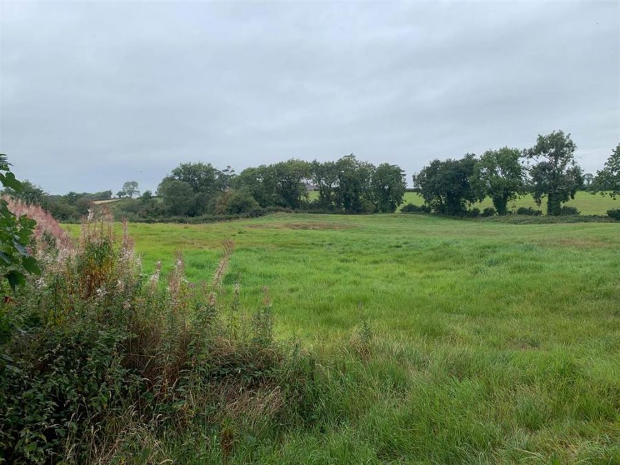 Approx 24.5 Acres Of Agricultural Land Adjacent To 229 Ballynahinch Road