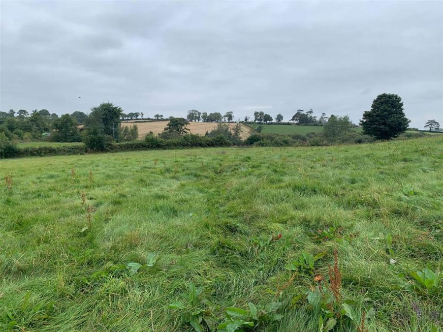 Approx 24.5 Acres Of Agricultural Land Adjacent To 229 Ballynahinch Road