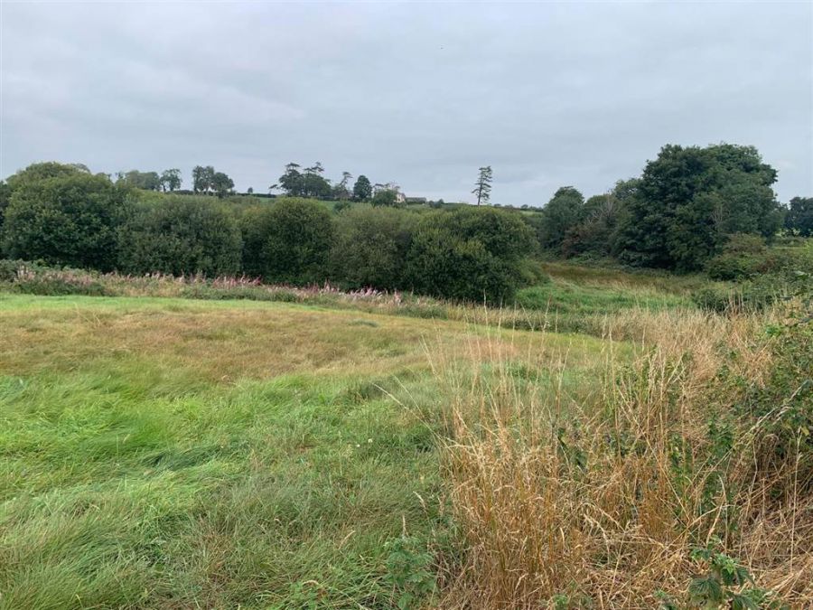 Approx 24.5 Acres Of Agricultural Land Adjacent To 229 Ballynahinch Road