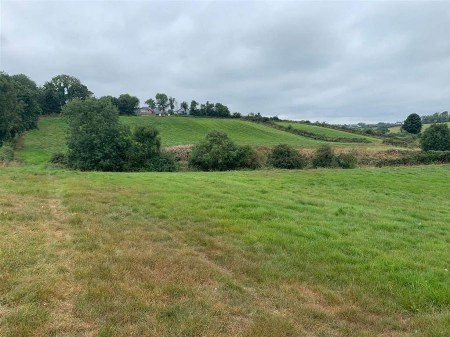 Approx 24.5 Acres Of Agricultural Land Adjacent To 229 Ballynahinch Road