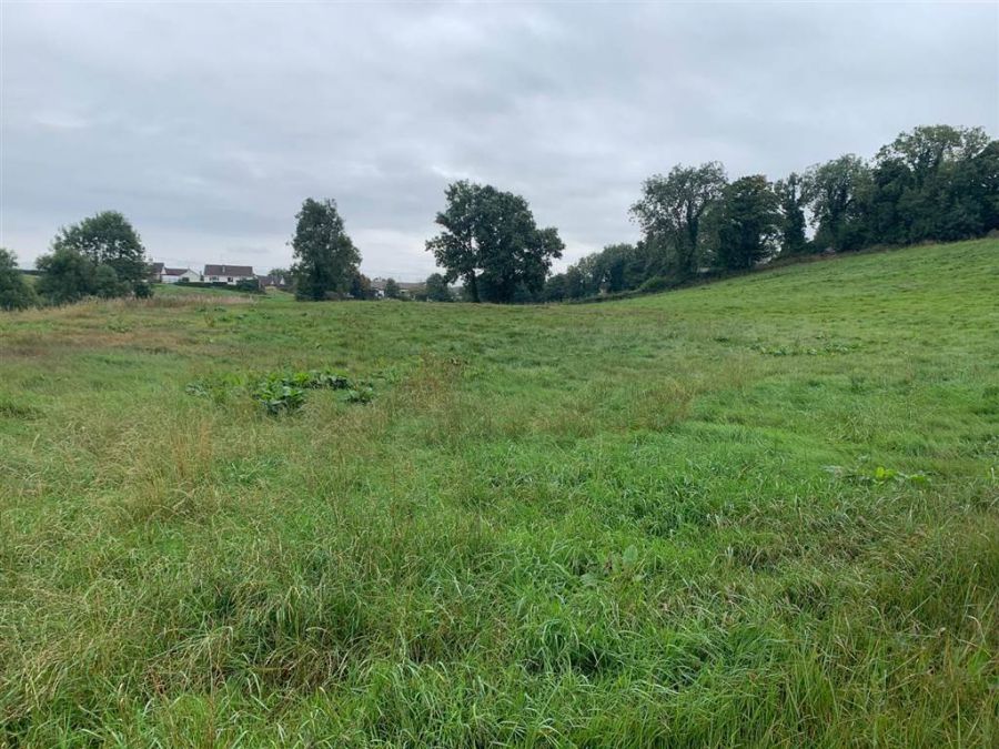 Approx 24.5 Acres Of Agricultural Land Adjacent To 229 Ballynahinch Road