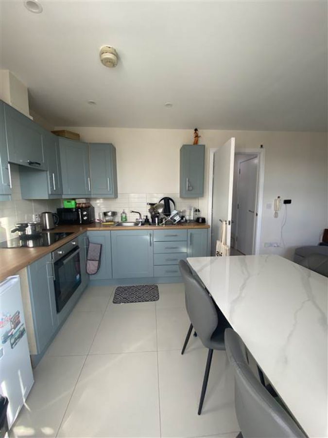 College Central, 904